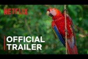 Life in Color with David Attenborough | Official Trailer | Netflix