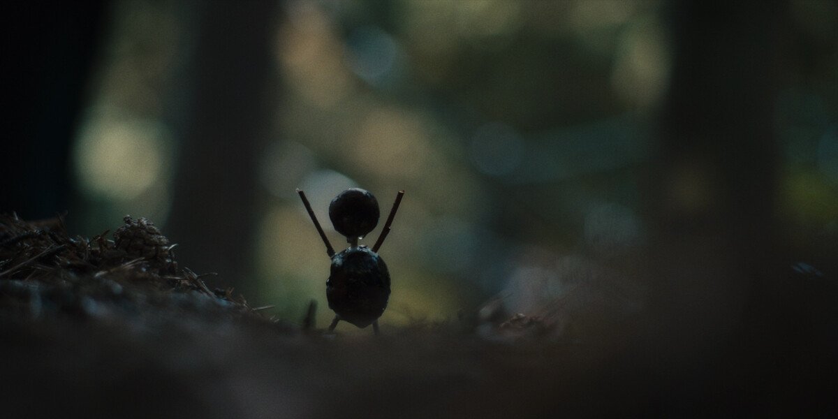 The_Chestnut_Man__Season_1__Episode_1__1877138__00_20_38_22__1238942