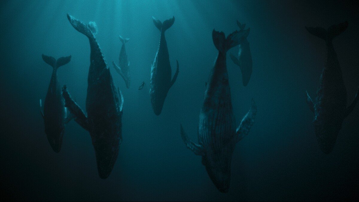 The Swar_Berlinale press release_© Schwarm TV Production GmbH & Co. KG