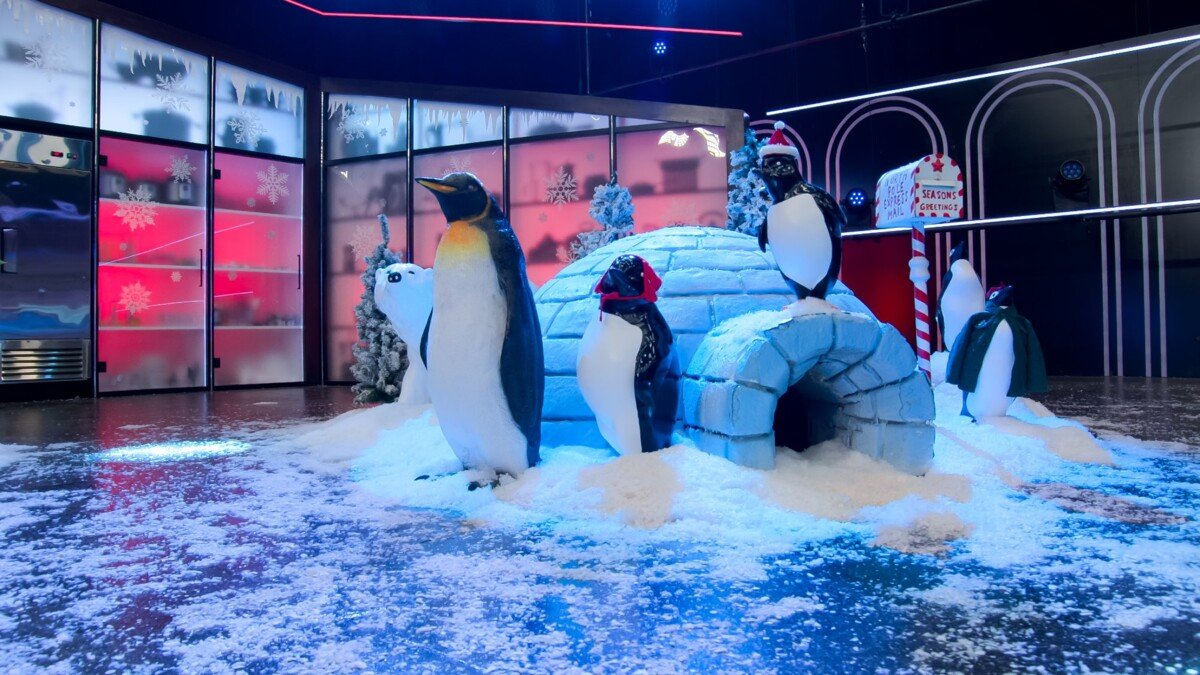 Is_It_Cake__Holiday_(Tl3PDwxBAt)_n_S2_E2_00_02_05_18_R