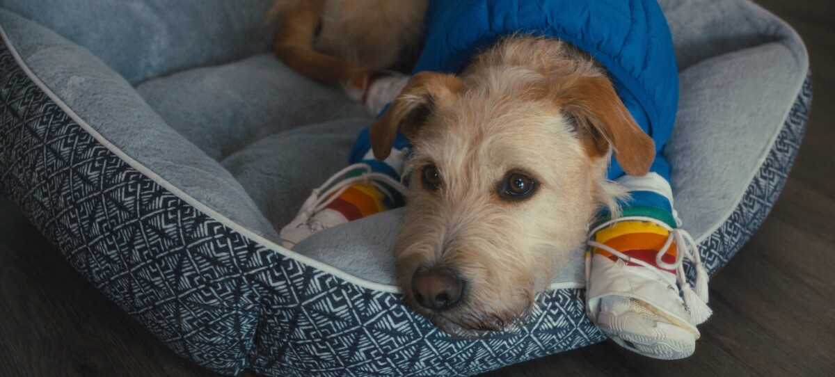 MERV_2025_FG_00071822_Still082C_f_3000