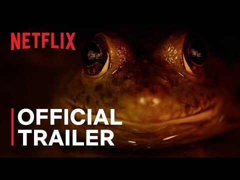 Nightmares of Nature | Official Trailer | Netflix