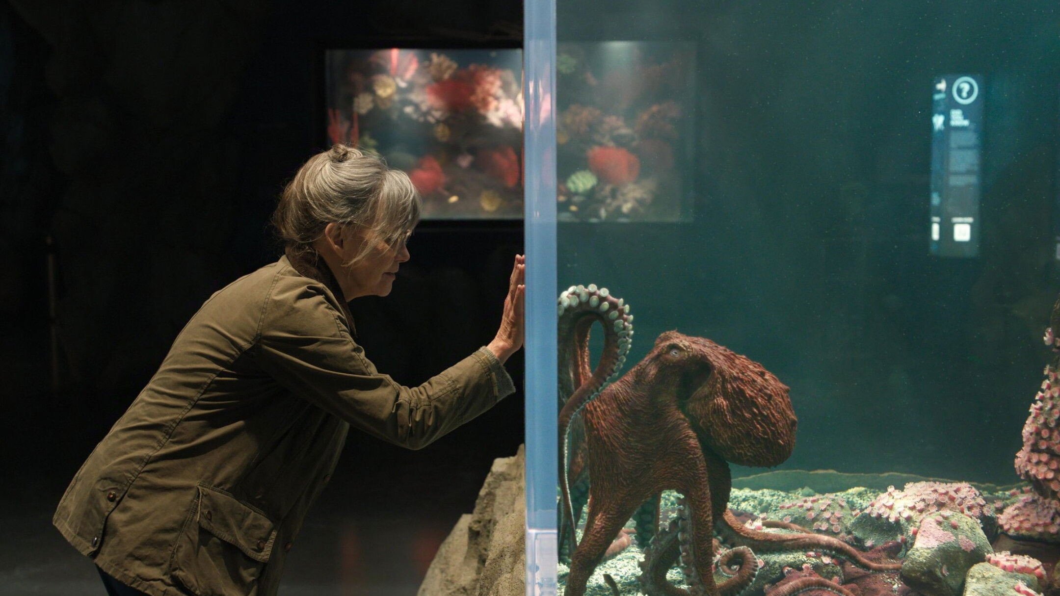 "Niezwykle szlachetne stworzenia", "Joy in the Trenches", " Keepin' Country Cool" oraz "Fury vs. Makhmudov" na zwiastunach od Netflixa