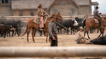 Psie pazury (2021) – recenzja filmu