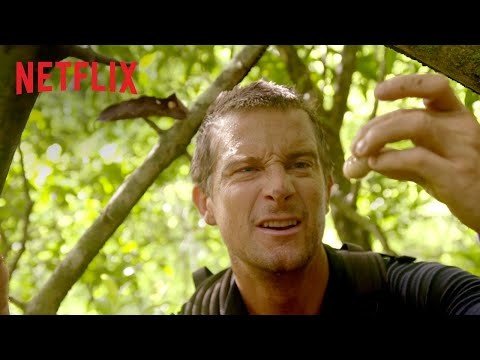 Ty kontra dzicz | Program interaktywny | Oficjalny zwiastun [HD] | Netflix