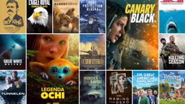 Szczęki. Megahit Hollywoodu i ponad 20 innych tytułów dodano w Canal+ Polska! Sprawdzamy co nowego w ofercie