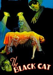 Czarny kot / The Black Cat