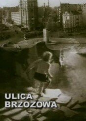 Ulica Brzozowa / Ulica Brzozowa