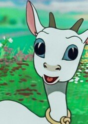 Koziołeczek / Koziołeczek