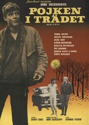 Chłopak na drzewie / The Boy in the Tree