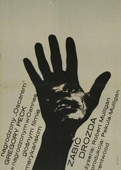 Zabić drozda / To Kill a Mockingbird