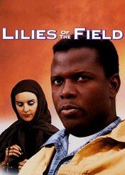 Polne lilie / Lilies of the Field