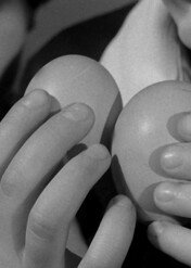 To jest jajko / To jest jajko