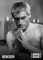 Bokser / Bokser