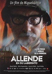 Allende en su laberinto / Allende en su laberinto