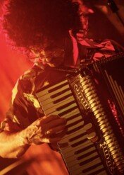 Weird: The Al Yankovic Story / Weird: The Al Yankovic Story