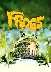Żaby / Frogs