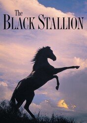 Czarny rumak / The Black Stallion