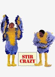 Czyste szaleństwo / Stir Crazy