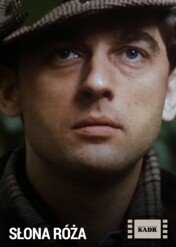 Słona róża / Słona róża