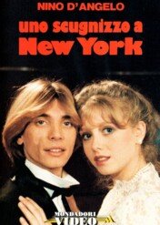 Neapolitańczyk w Nowym Jorku / Neapolitan Boy in New York