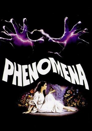 Phenomena / 