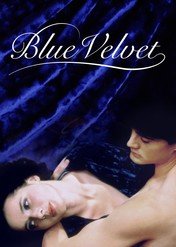 Blue Velvet / Blue Velvet