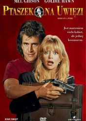 Ptaszek na uwięzi / Bird On a Wire