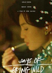 Dni naszego szaleństwa / Days of Being Wild