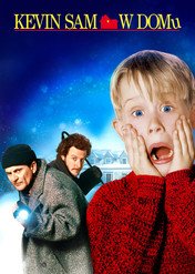 Kevin sam w domu / Home Alone