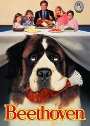 Beethoven / Beethoven