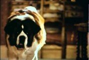 Beethoven's 2nd - Trailer