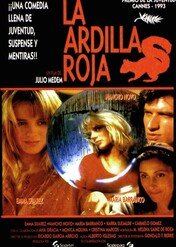 Ruda wiewiórka / The Red Squirrel