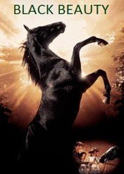 Czarny Książę / Black Beauty