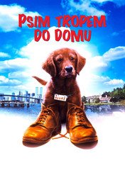 Psim tropem do domu / Fluke