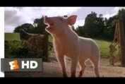 Babe (3/9) Movie CLIP - Christmas Means Carnage (1995) HD