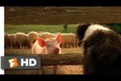 Babe, the New Sheepdog - Babe (4/9) Movie CLIP (1995) HD