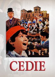 Cedie / Cedie