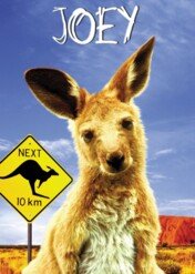 Kangurek Joey / Joey