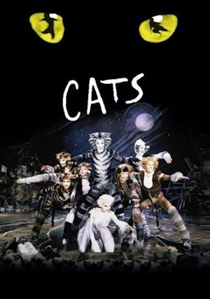 Koty / Cats