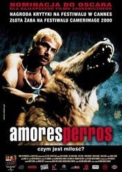 Amores Perros / Amores perros