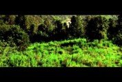 Cold Mountain - Trailer