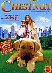 Orzeszek / Chestnut: Hero of Central Park