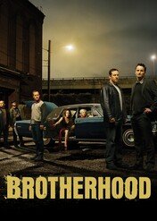 Braterstwo / Brotherhood