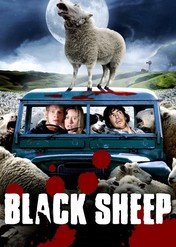 Czarna owca / Black Sheep