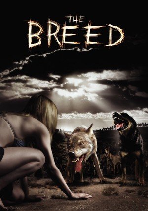 Rasa / The Breed