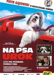 Na psa urok / The Shaggy Dog