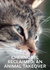 Czarnobyl: powrót przyrody / Chernobyl Reclaimed: An Animal Takeover