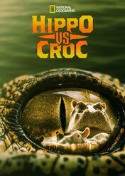 Hipopotam i krokodyl / Hippo vs Croc