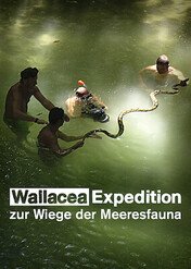 Wallacea: Wyprawa do kolebki życia pod wodą / Wallacea - Expedition zur Wiege der Meeresfauna